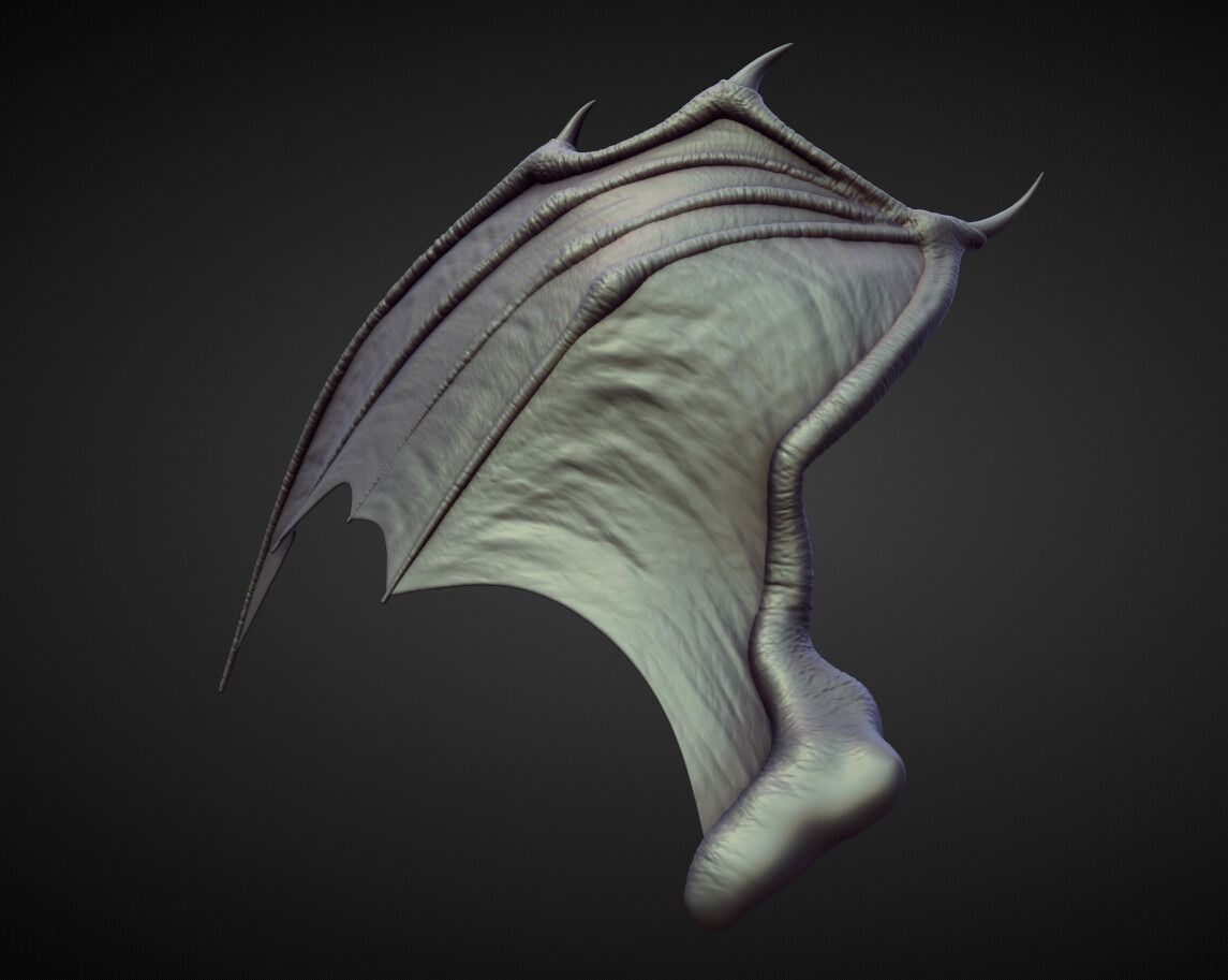 WING29 high poly sculpt 3D model_3