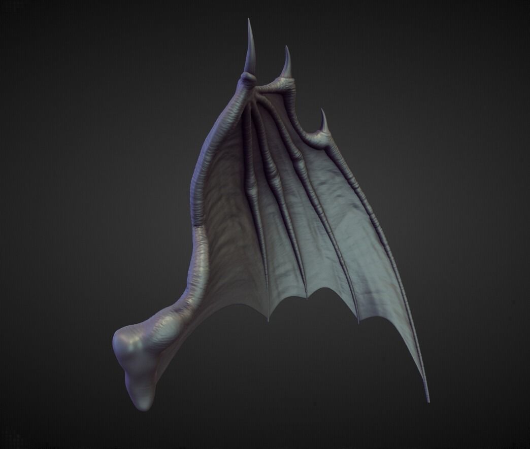 WING29 high poly sculpt 3D model_1