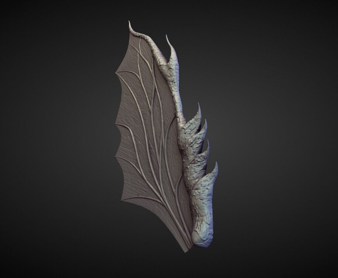 WING30 high poly sculpt 3D model_3