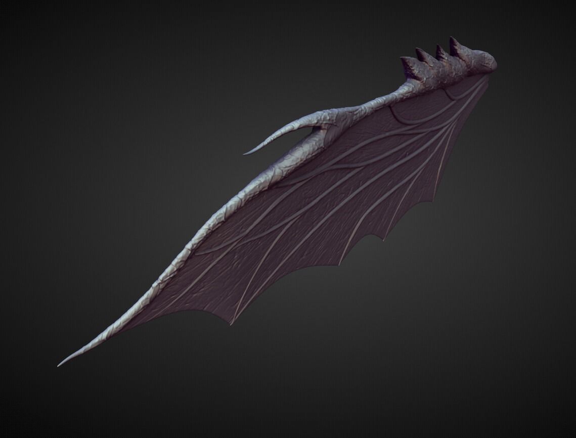 WING30 high poly sculpt 3D model_2