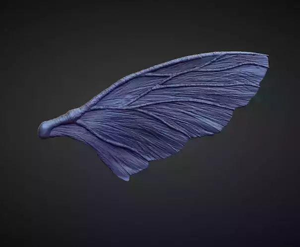 WING38 high poly sculpt