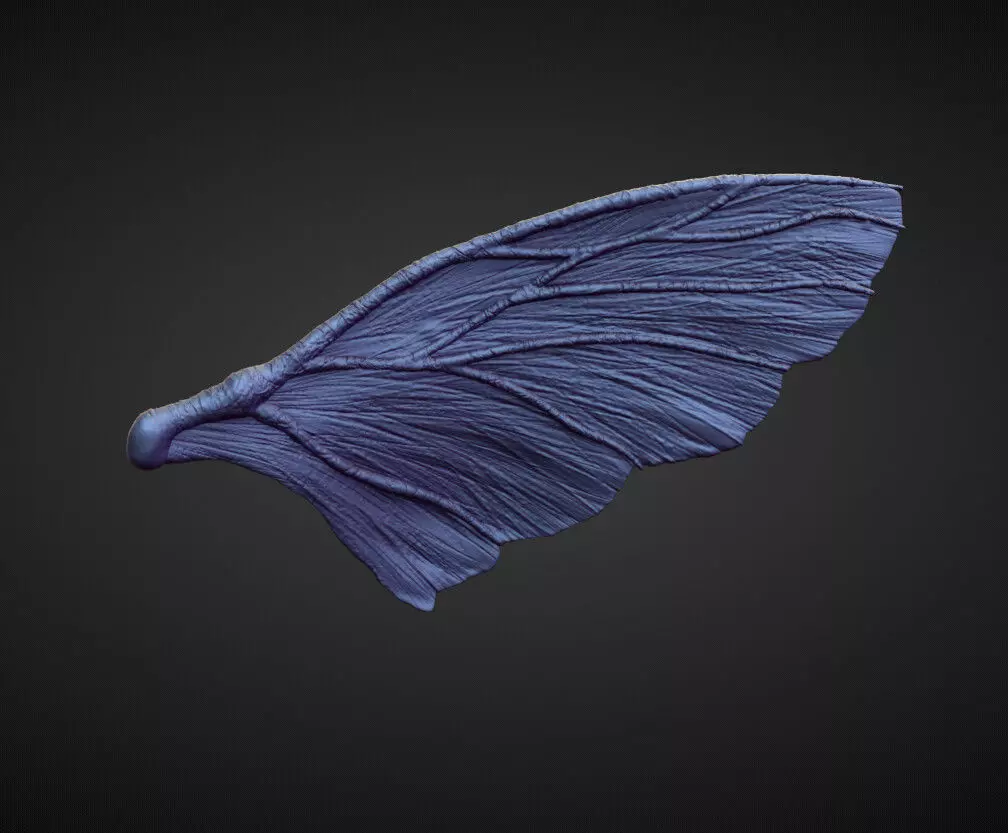 WING38 high poly sculpt 3D model_0