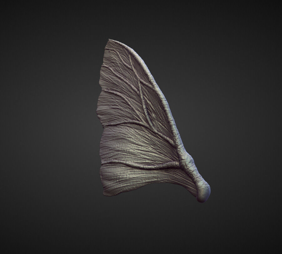 WING38 high poly sculpt 3D model_3