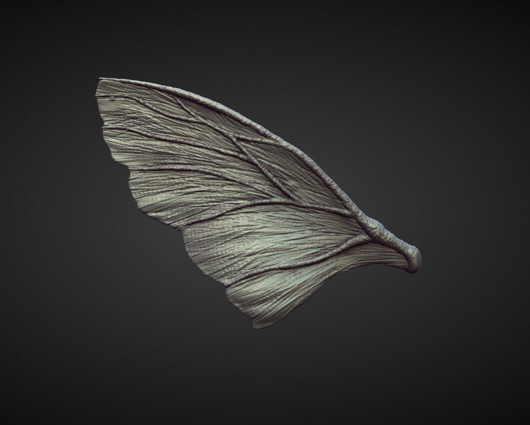 WING38 high poly sculpt 3D model_2