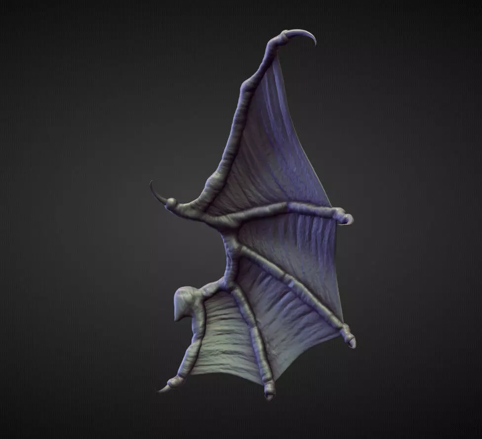 WING41 high poly sculpt 3D model_0