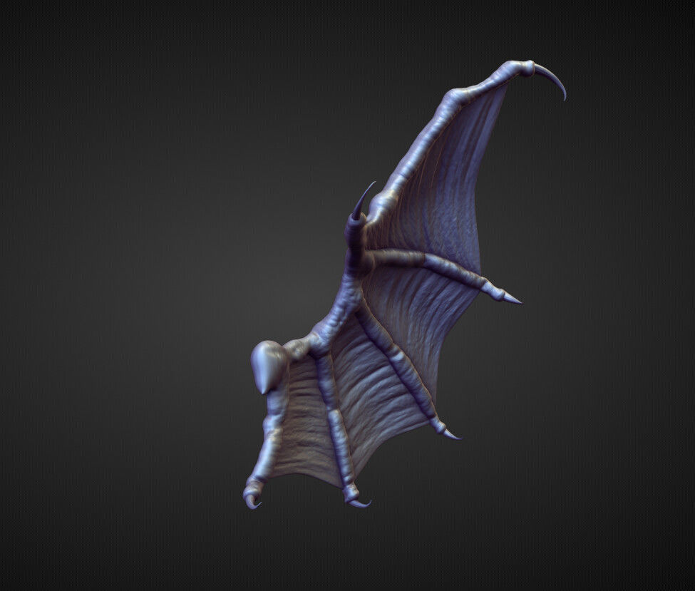 WING41 high poly sculpt 3D model_1