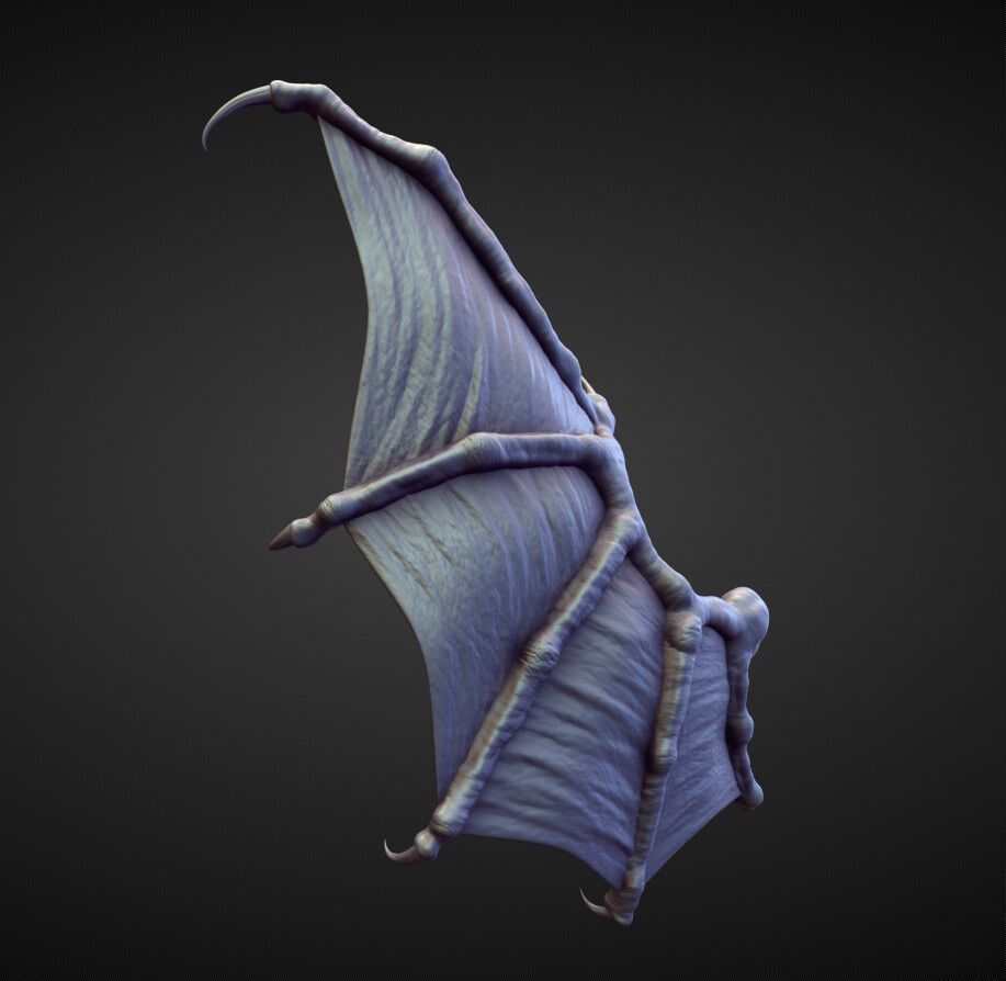 WING41 high poly sculpt 3D model_3