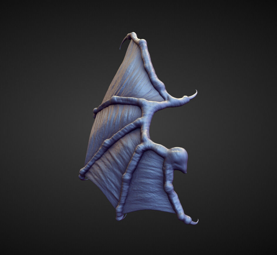 WING41 high poly sculpt 3D model_2