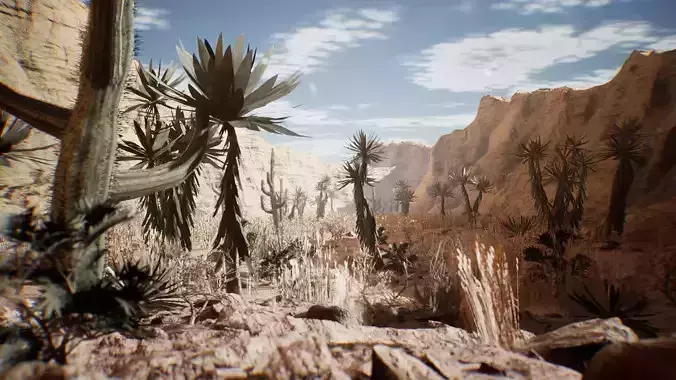 Western Plants 19 Assets