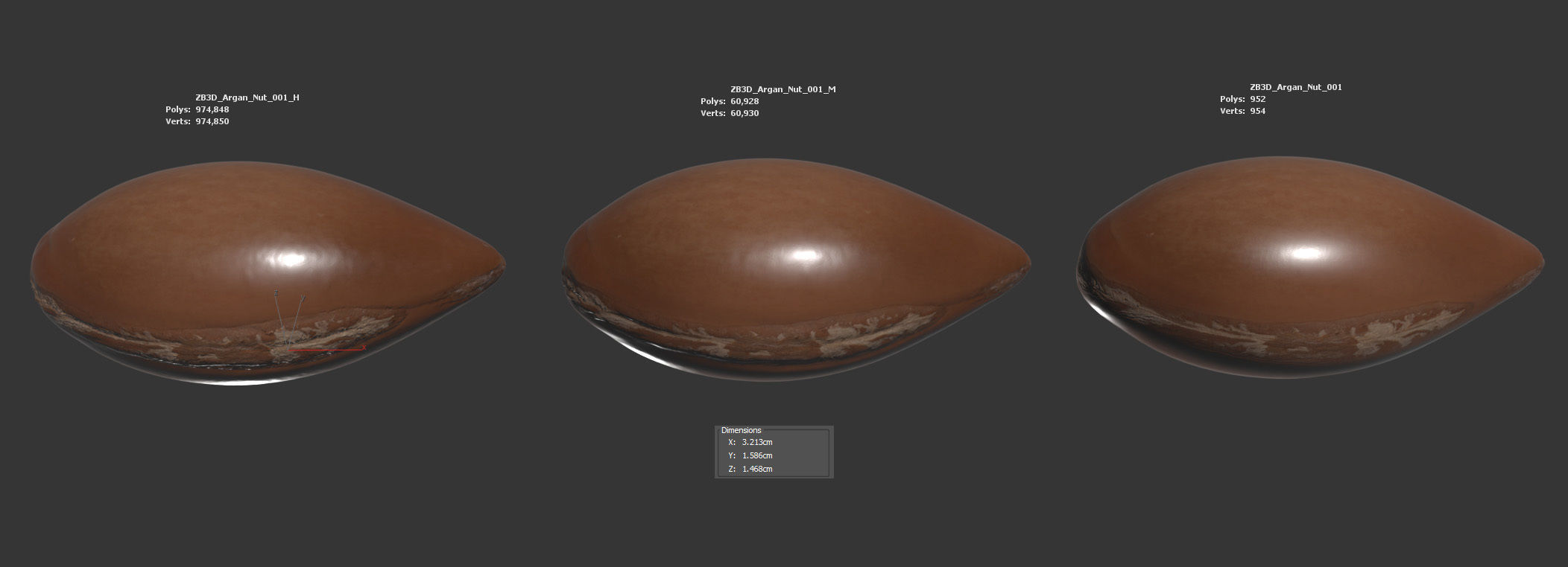 Argan Nut Seed 3D model_5