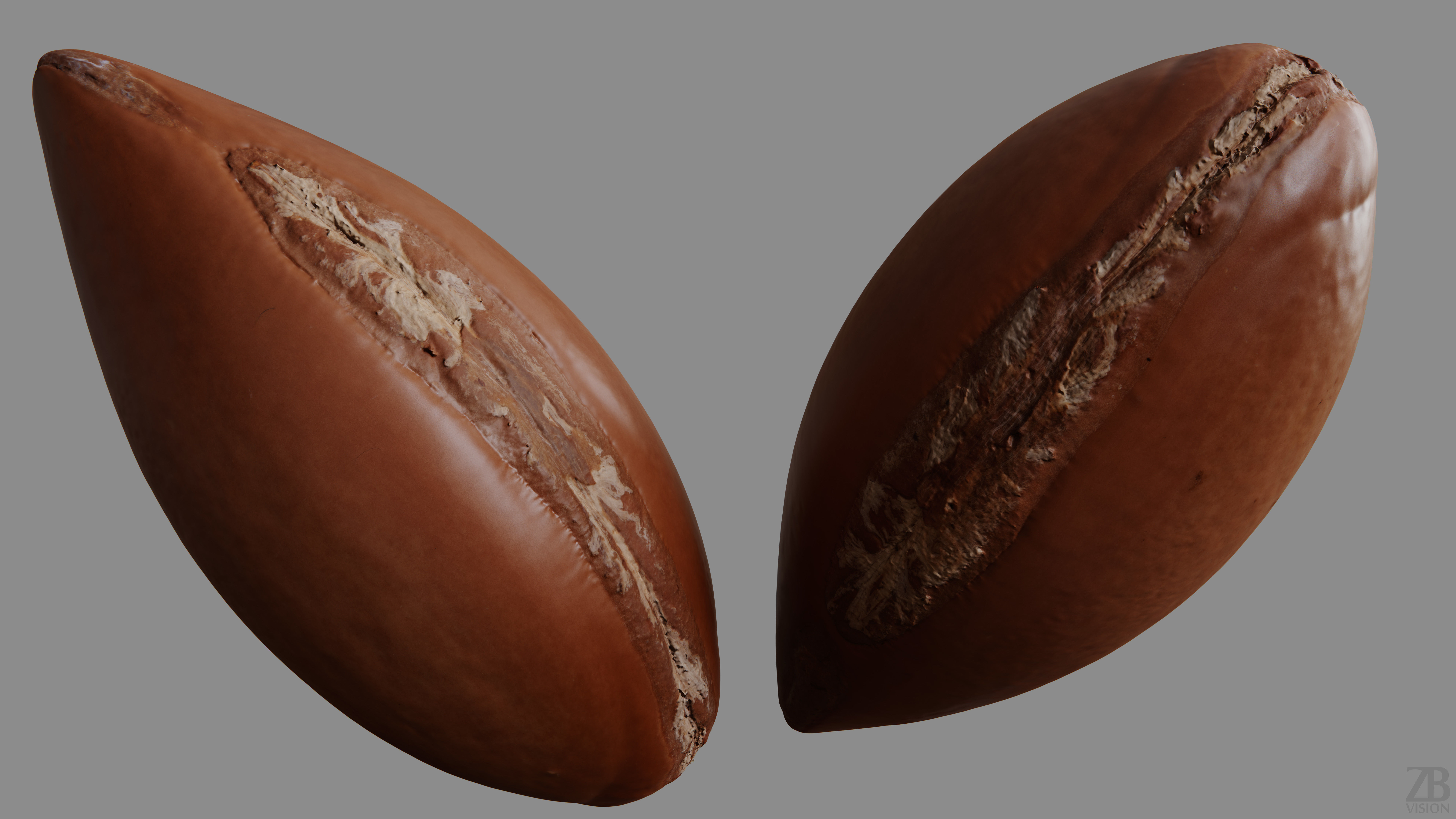 Argan Nut Seed 3D model_9