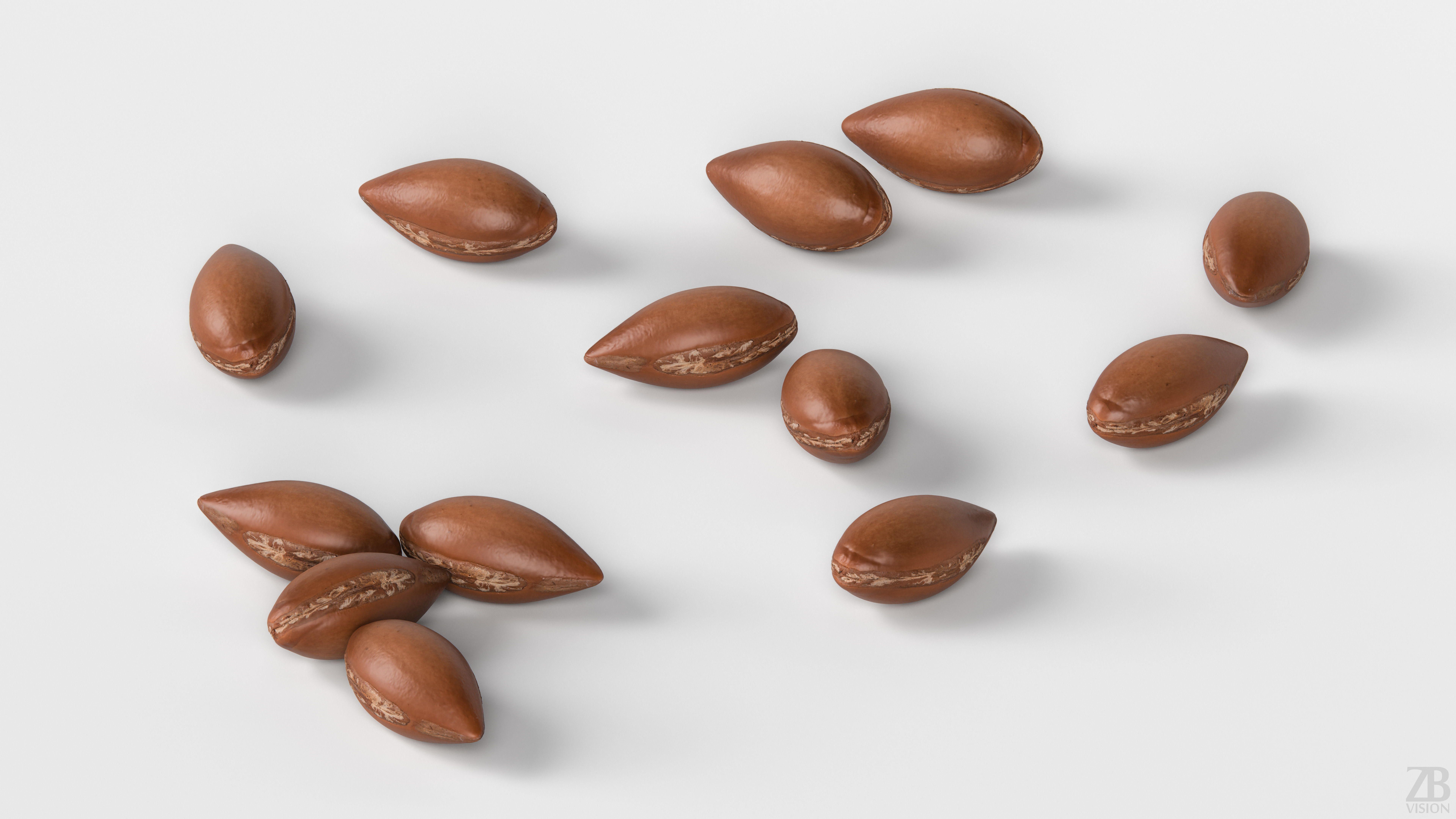 Argan Nut Seed 3D model_2