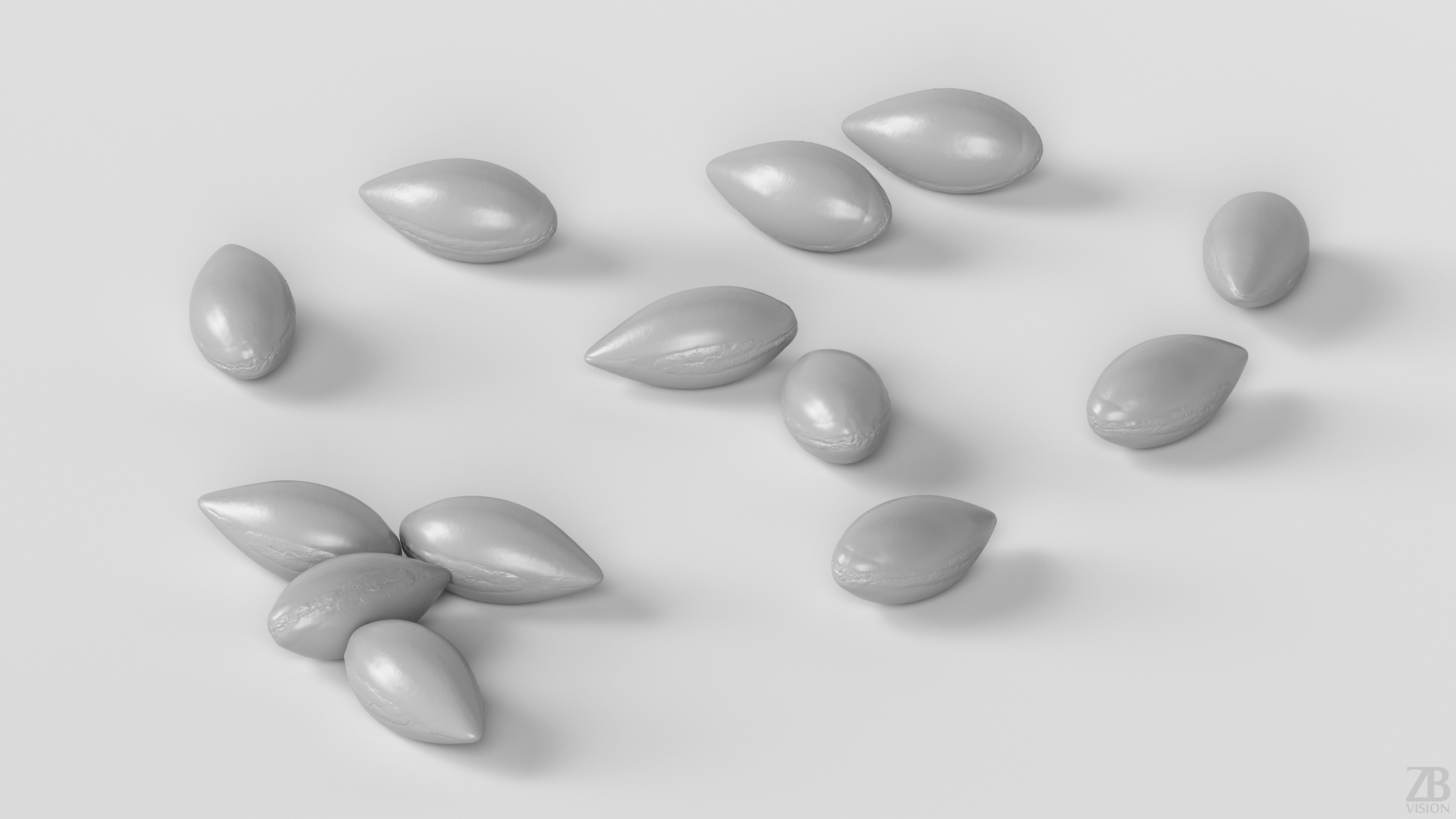 Argan Nut Seed 3D model_3