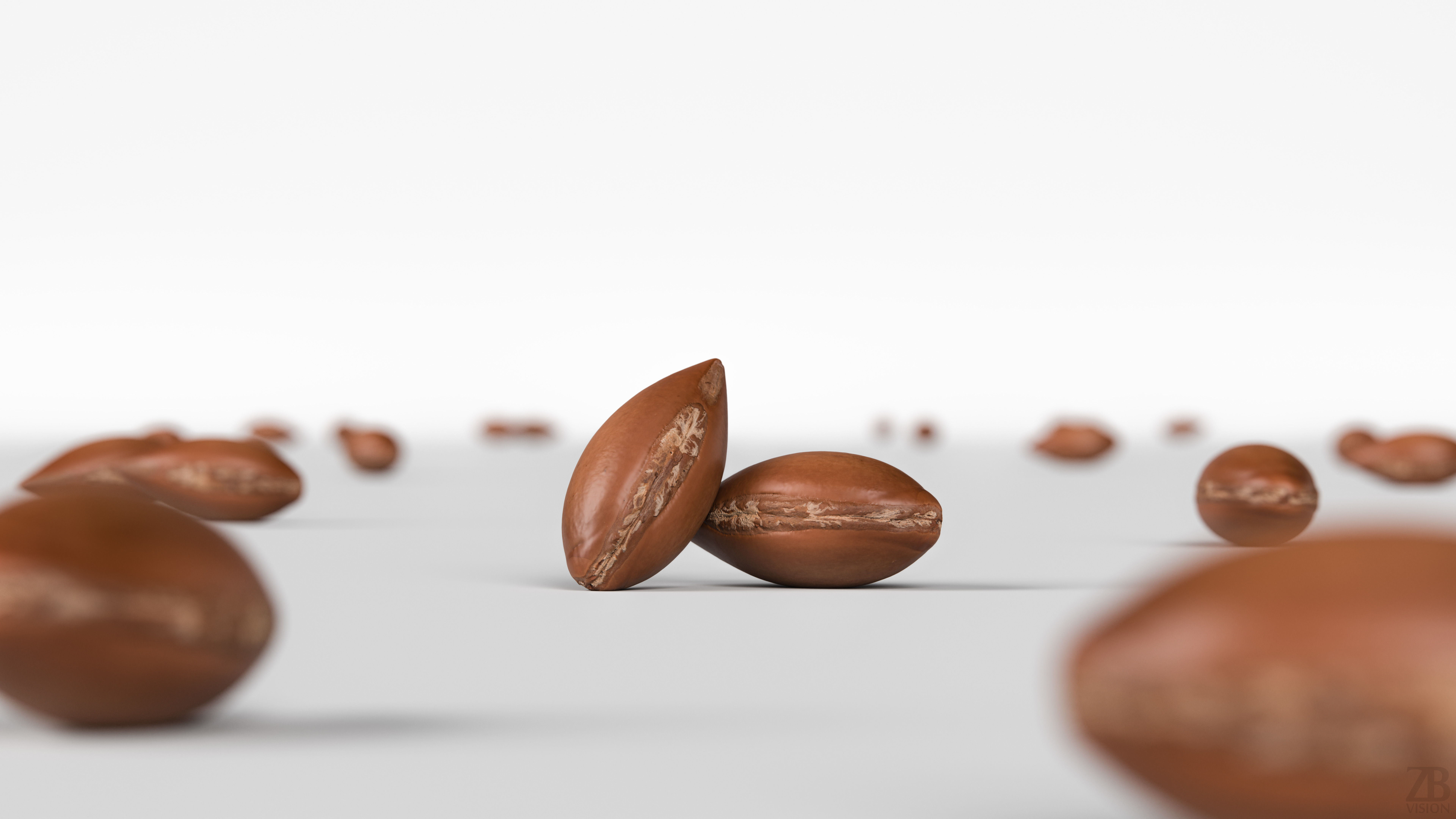 Argan Nut Seed 3D model_1