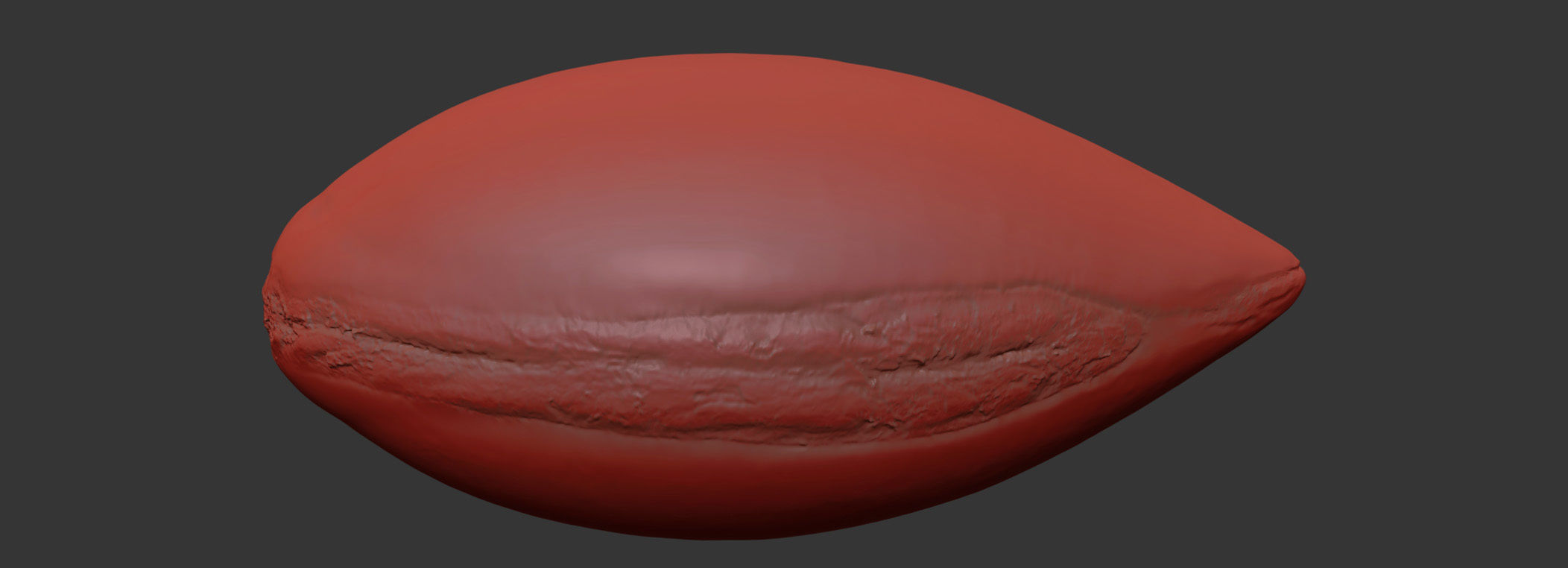 Argan Nut Seed 3D model_7