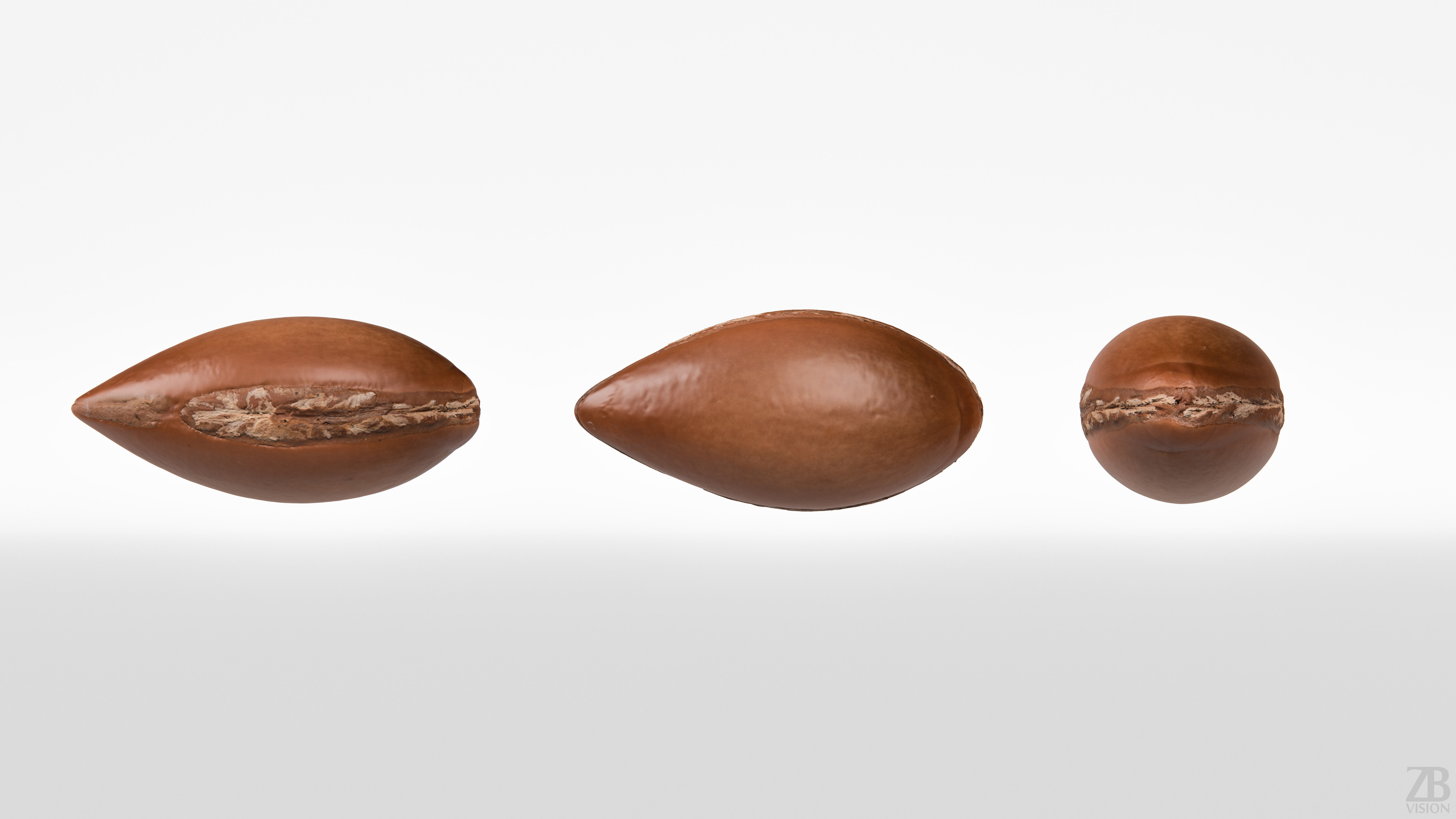 Argan Nut Seed 3D model_4