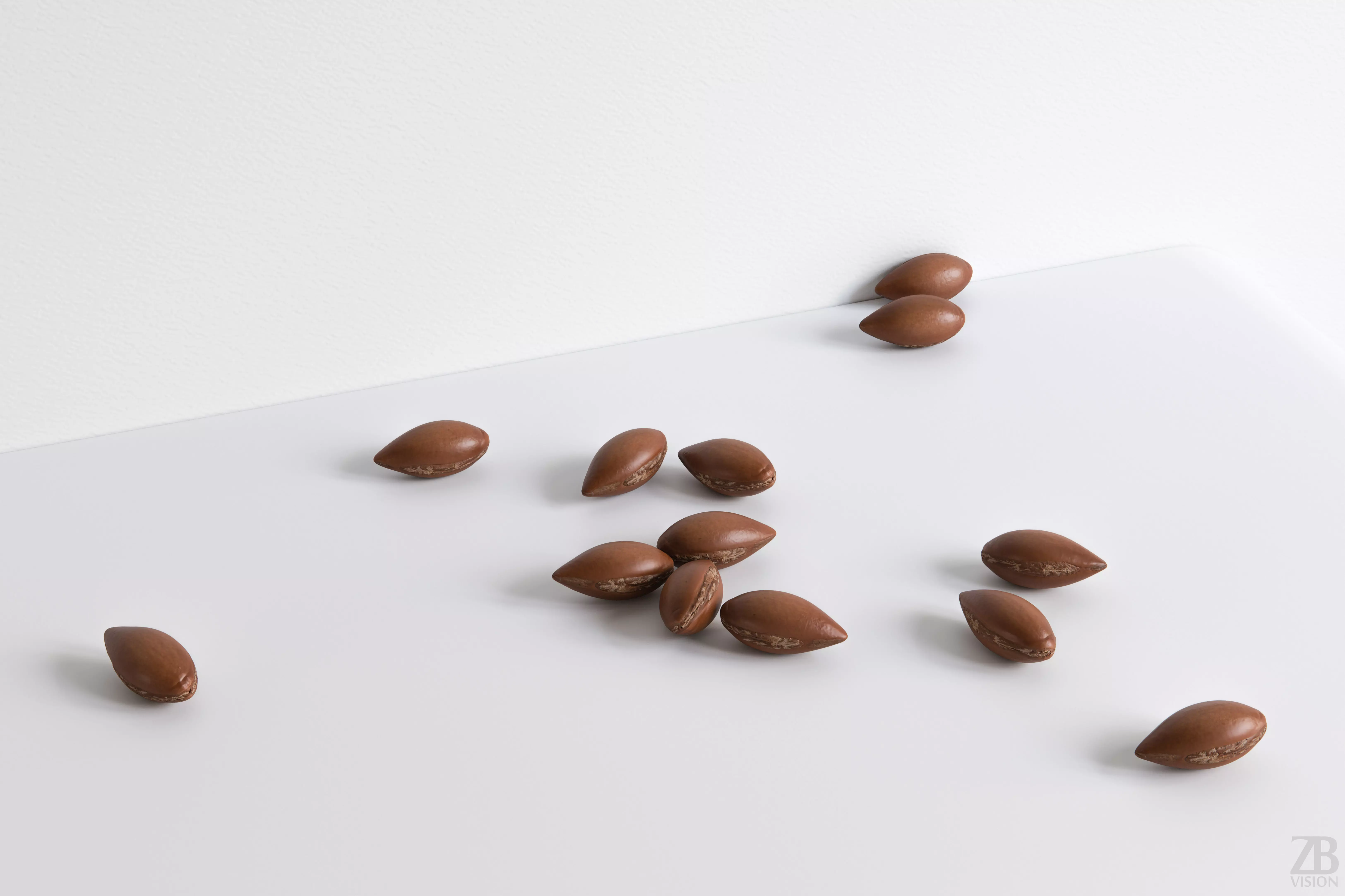 Argan Nut Seed 3D model_0