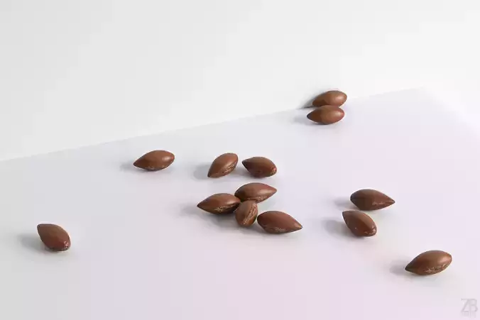 Argan Nut Seed