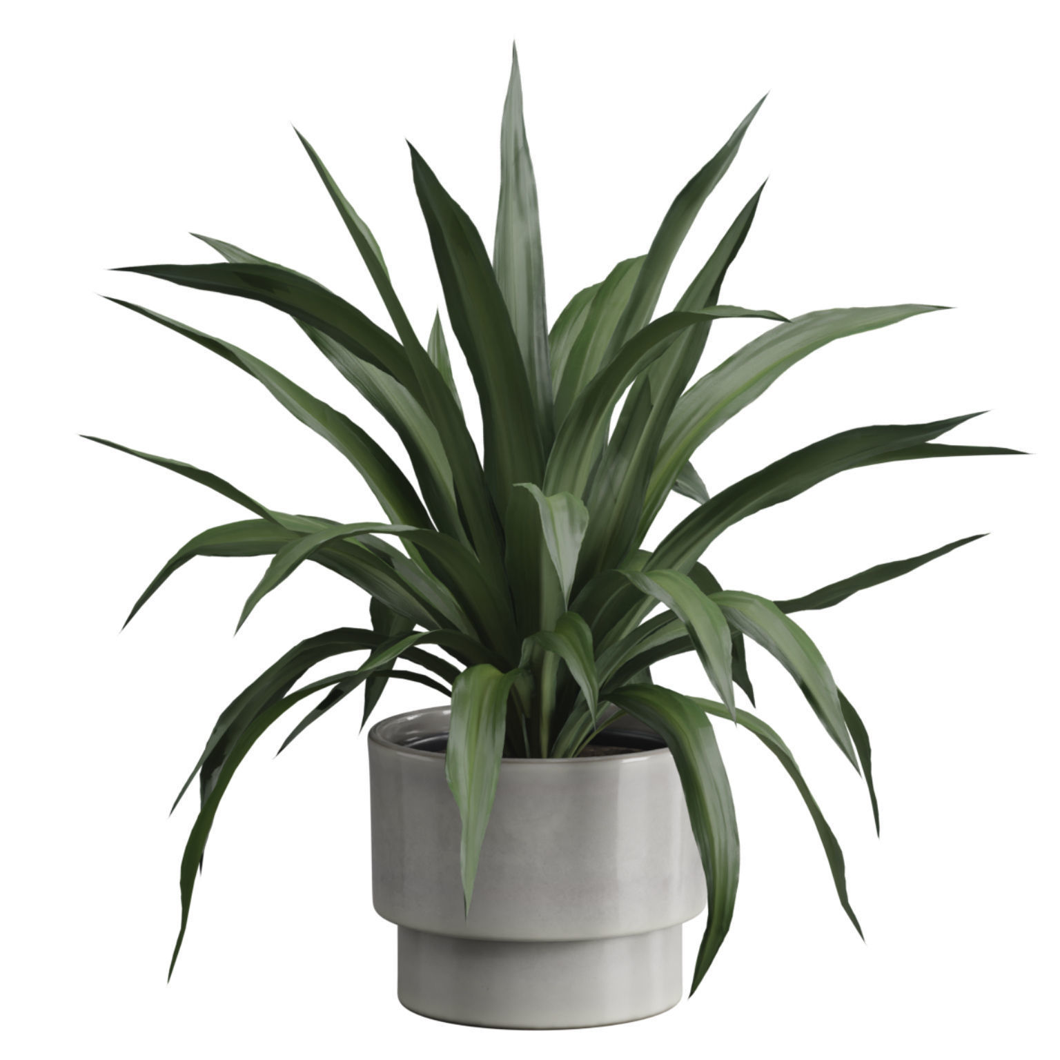 Indoor Plants Pack 50 3D model_7