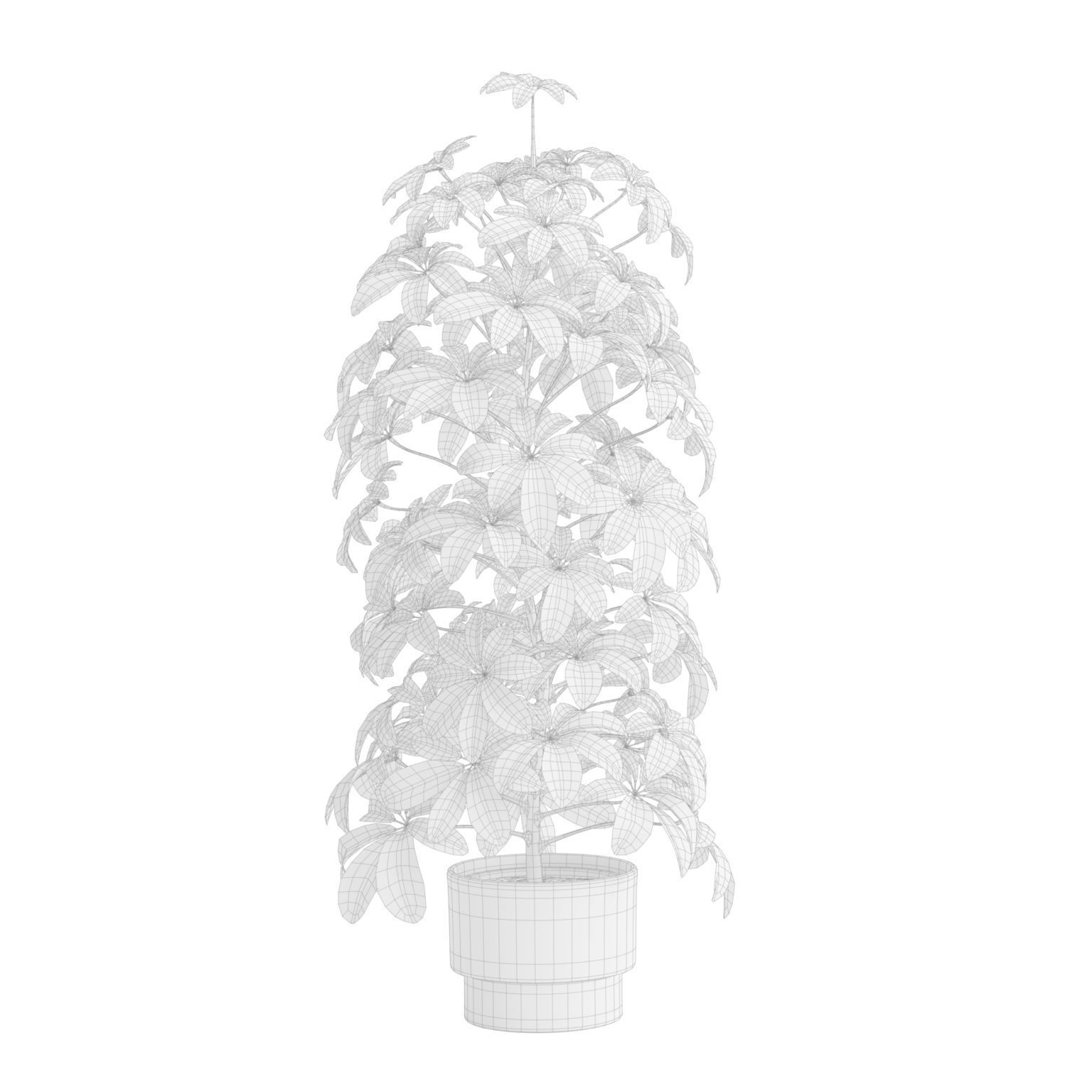 Indoor Plants Pack 50 3D model_4