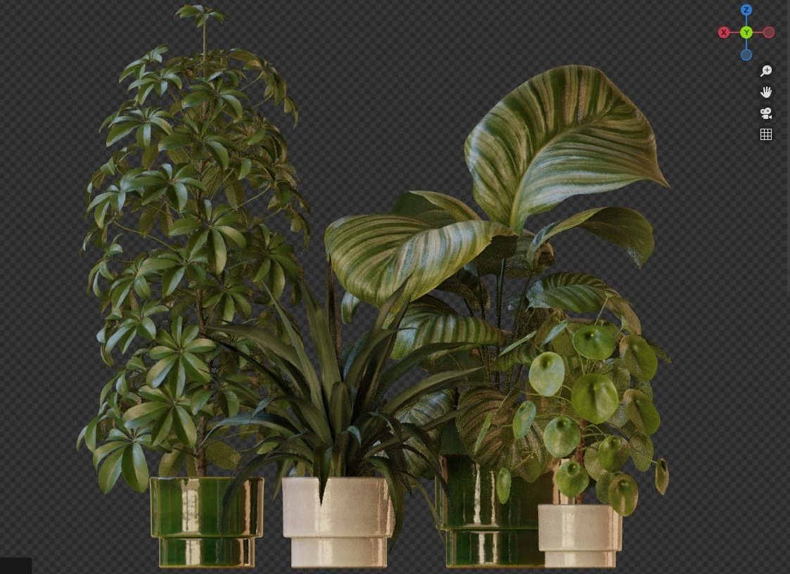 Indoor Plants Pack 50 3D model_11