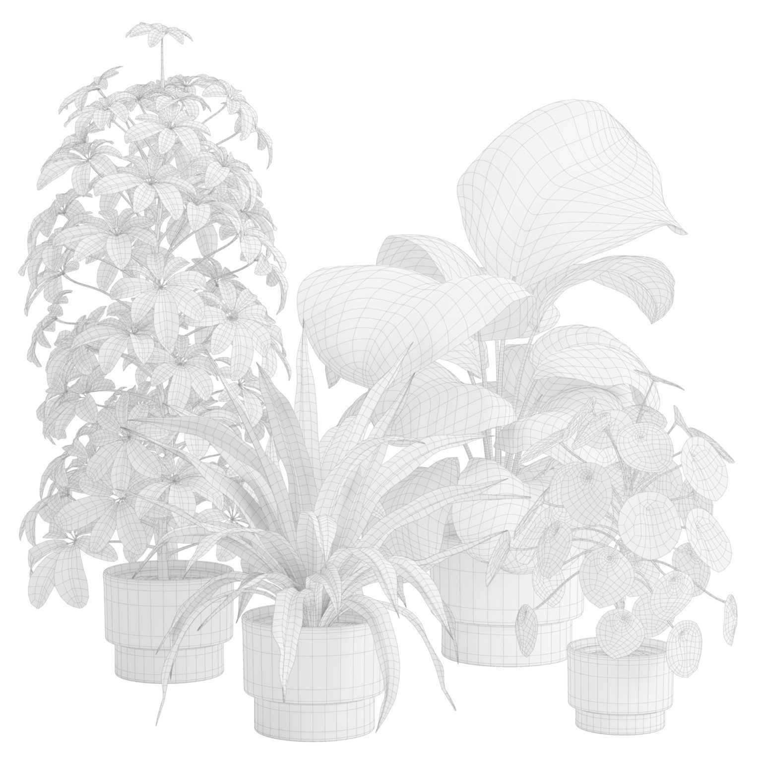 Indoor Plants Pack 50 3D model_2
