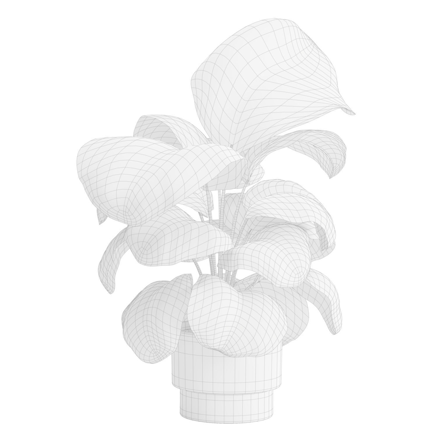 Indoor Plants Pack 50 3D model_6