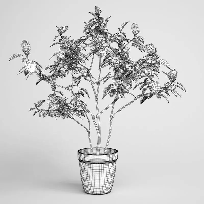 Potted Plant 08 3D model