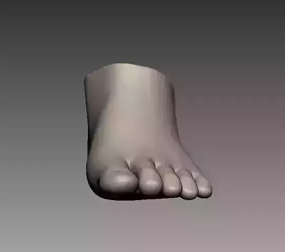 Foot feet 3D print model