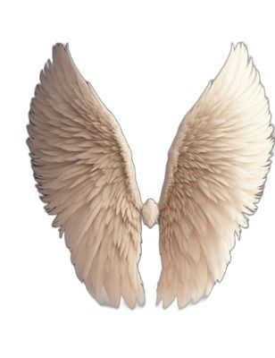 Angel Wings Collection Texture_25