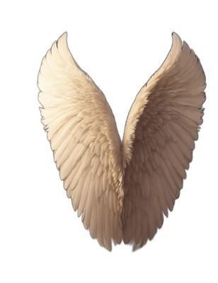 Angel Wings Collection Texture_16