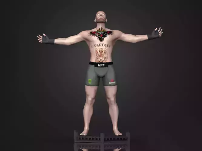 Cornor McGregor 3D Printable 