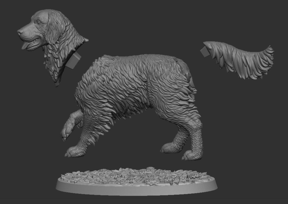 Golden Retriever 3D print model_13