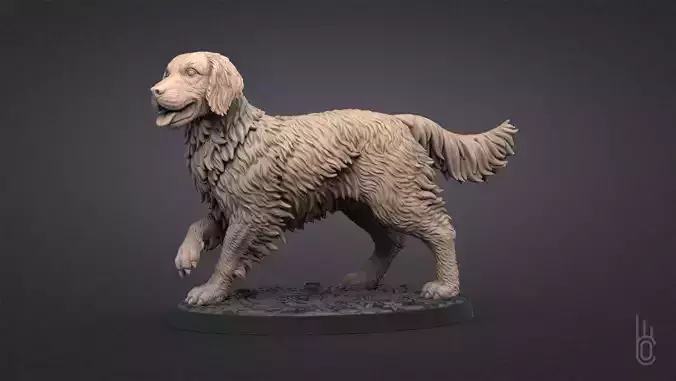 Golden Retriever 3D print model