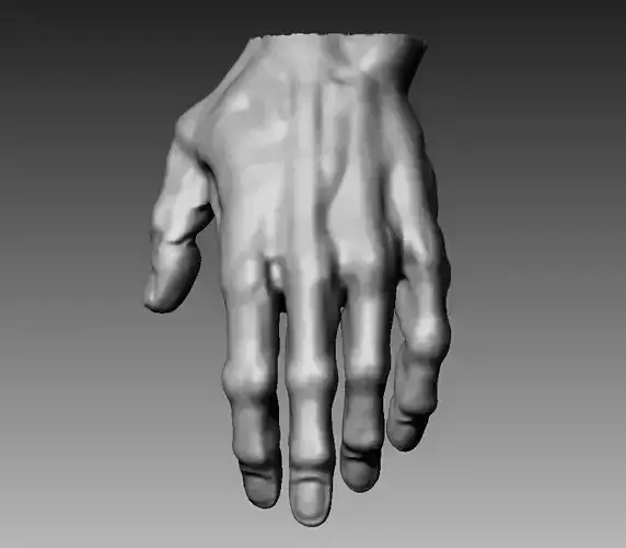 Hand basemesh