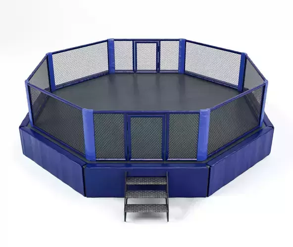 Mixed Martial Arts Octagon Arena