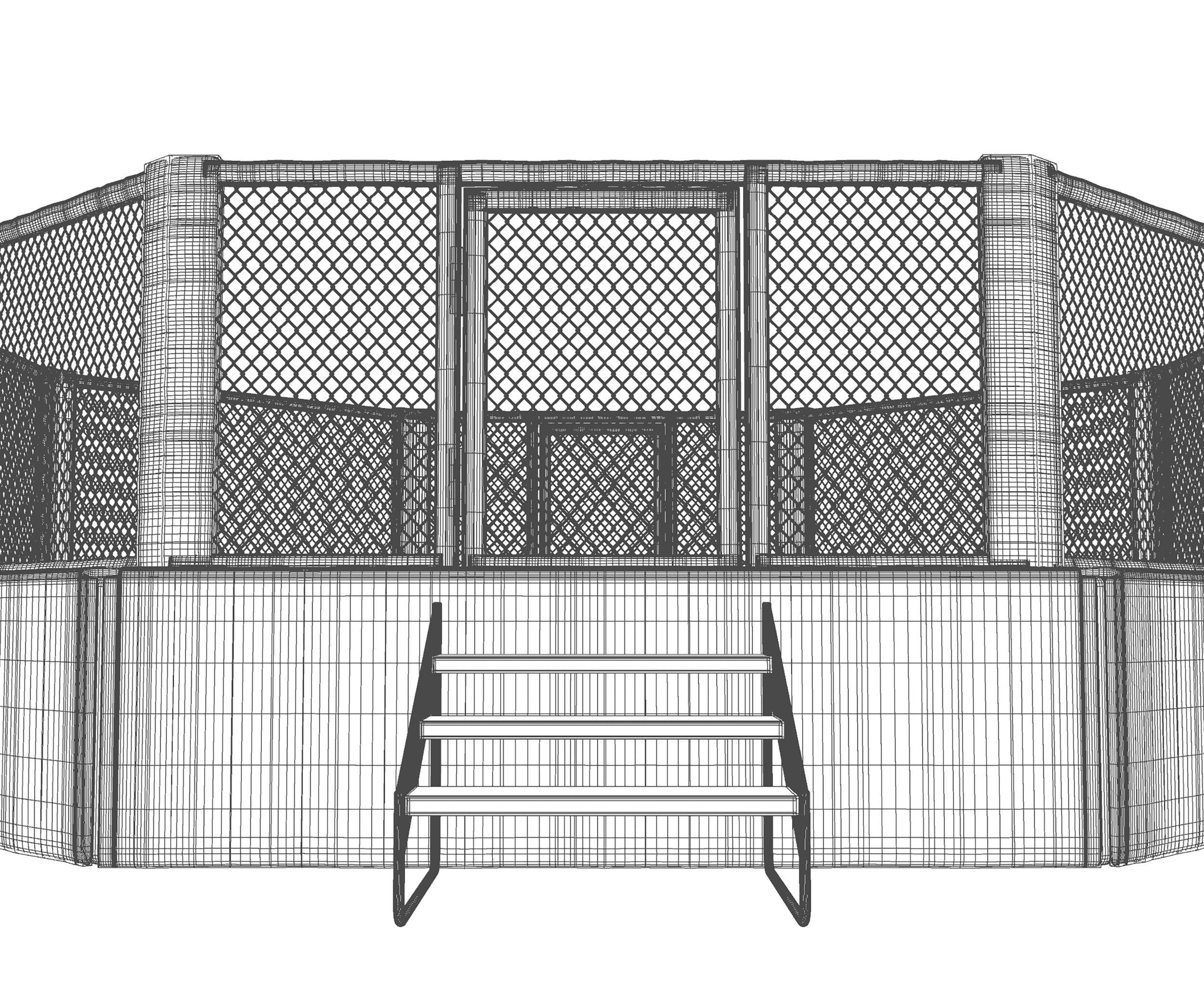 Mixed Martial Arts Octagon Arena 3D model | CGTrader