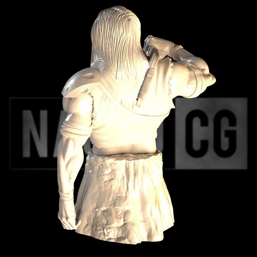 Fan Art - Casey Jones - Bust 3D print model_4
