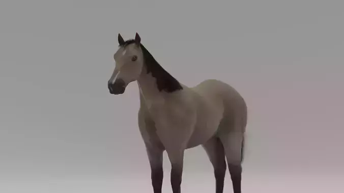 realistic horse