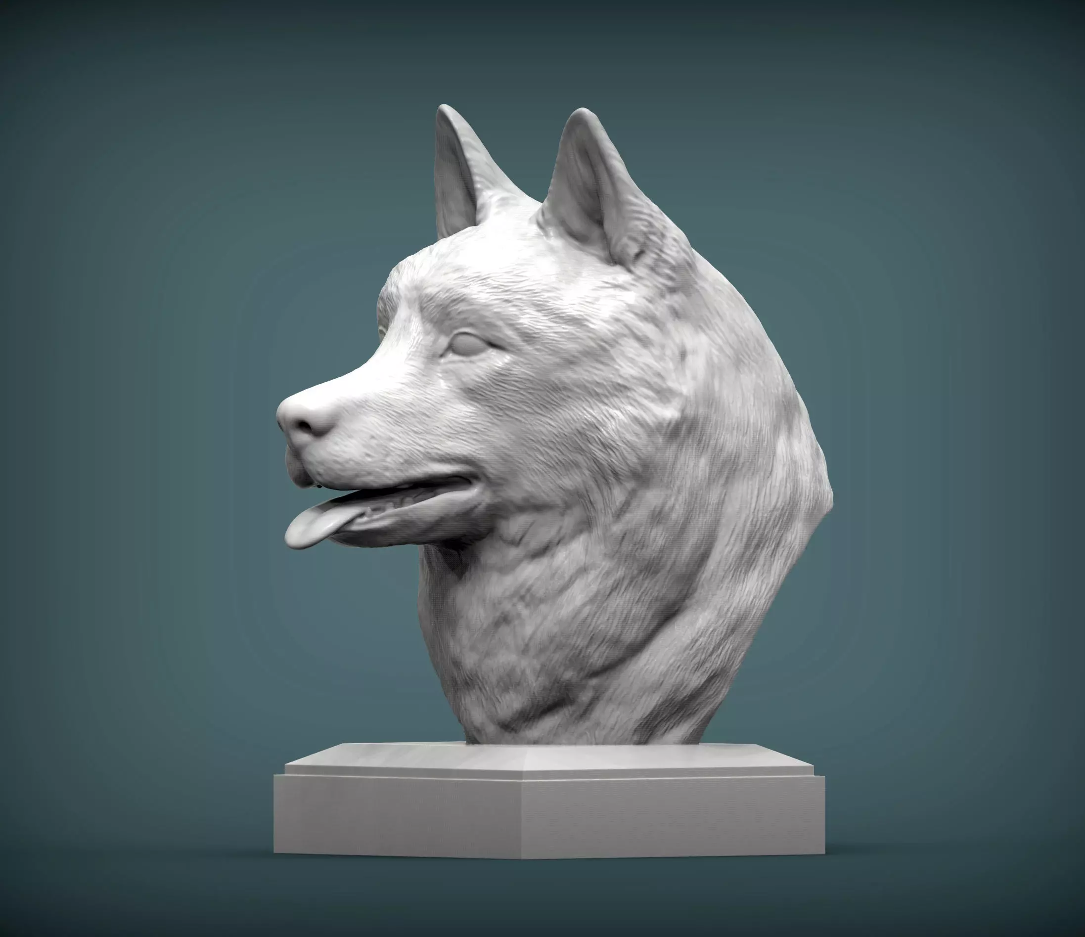 Husky bust 3D print model