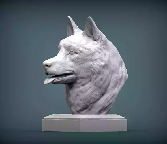 Husky bust