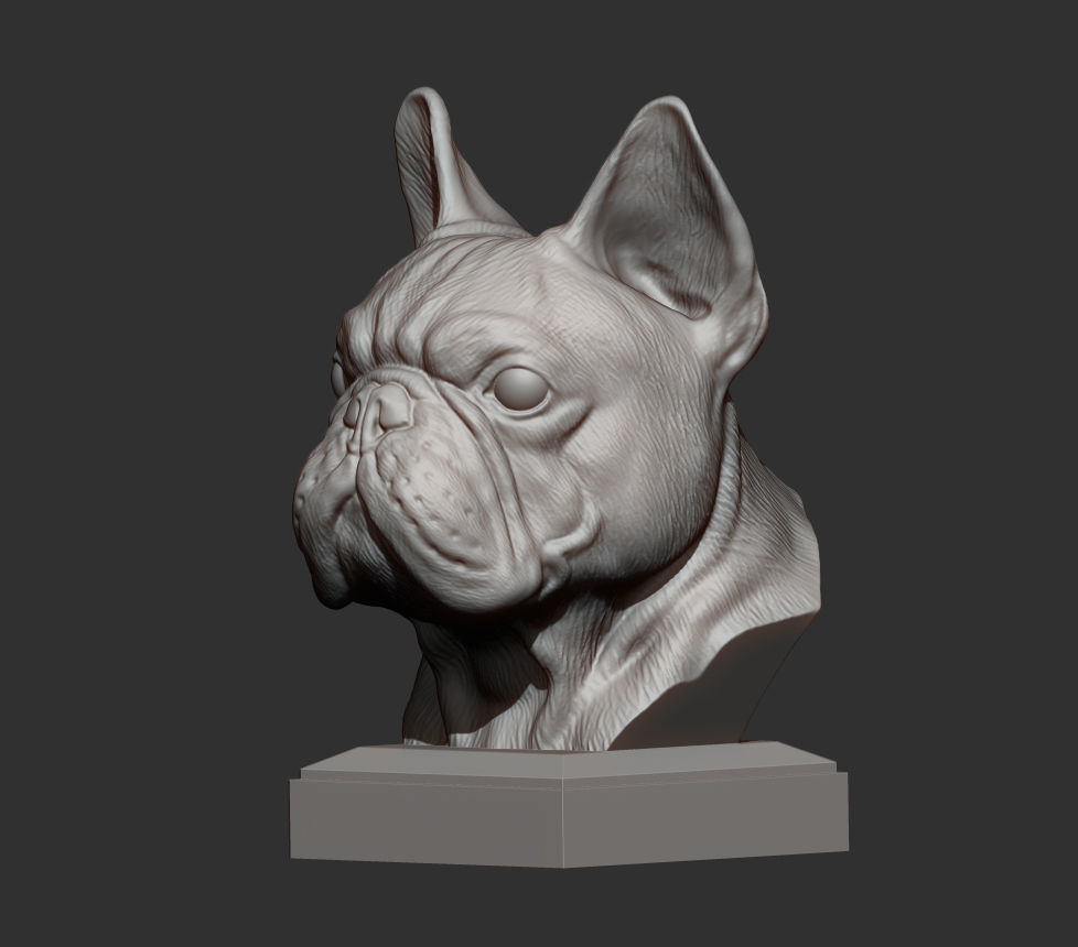 French Bulldog bust 3D print model_6
