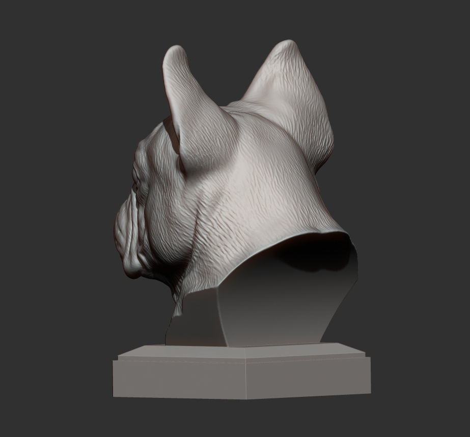 French Bulldog bust 3D print model_7