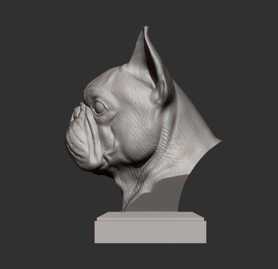 French Bulldog bust 3D print model_5