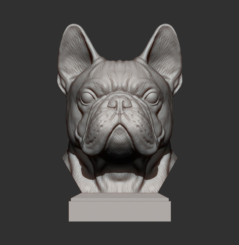 French Bulldog bust 3D print model_4