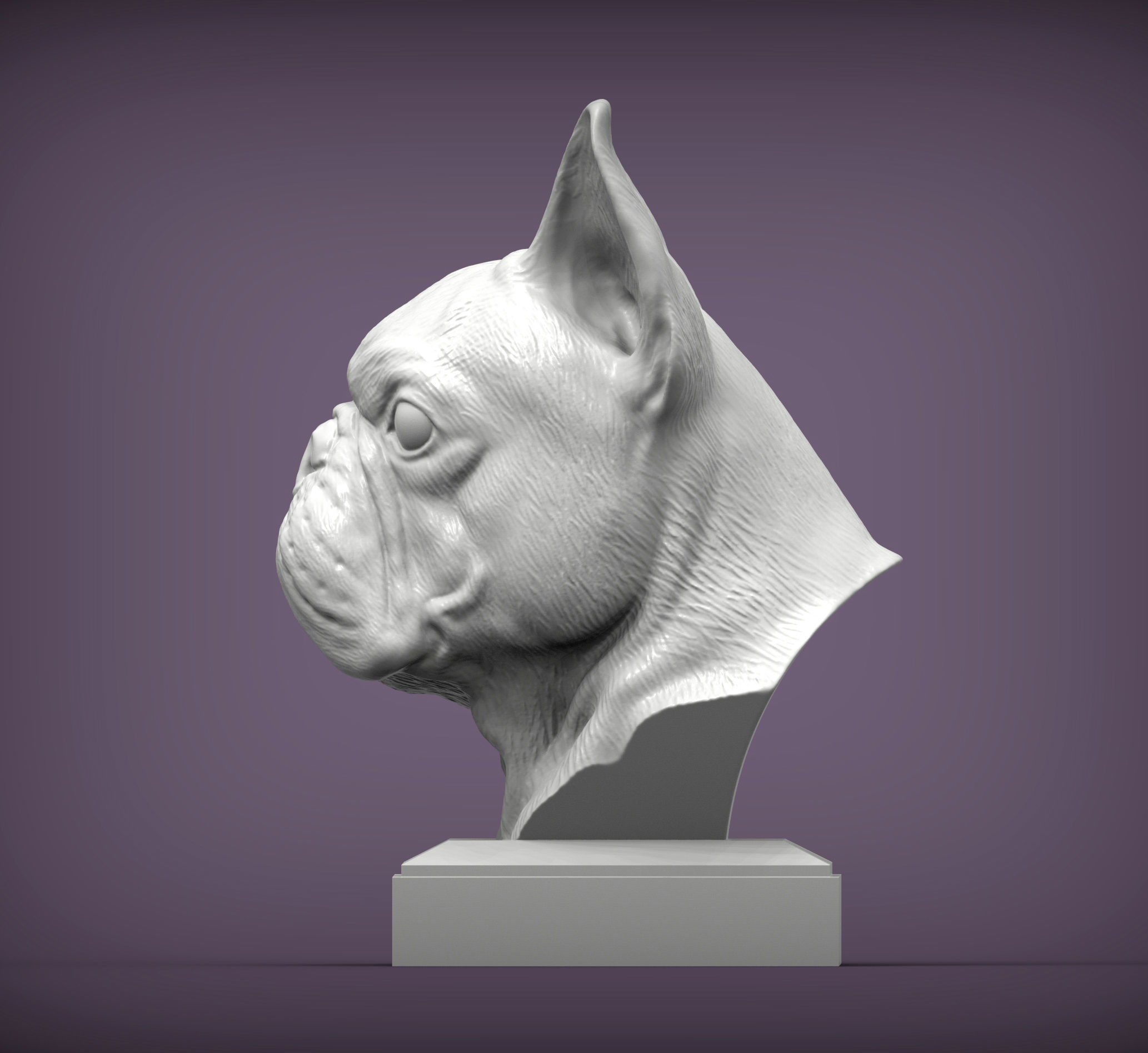 French Bulldog bust 3D print model_1