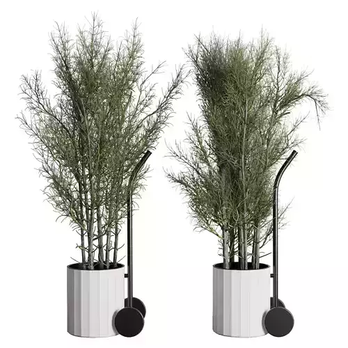 branch Tree in a plastics vase set indoor plant 393