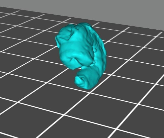 Small Cooked Shrimp  3D print model_1