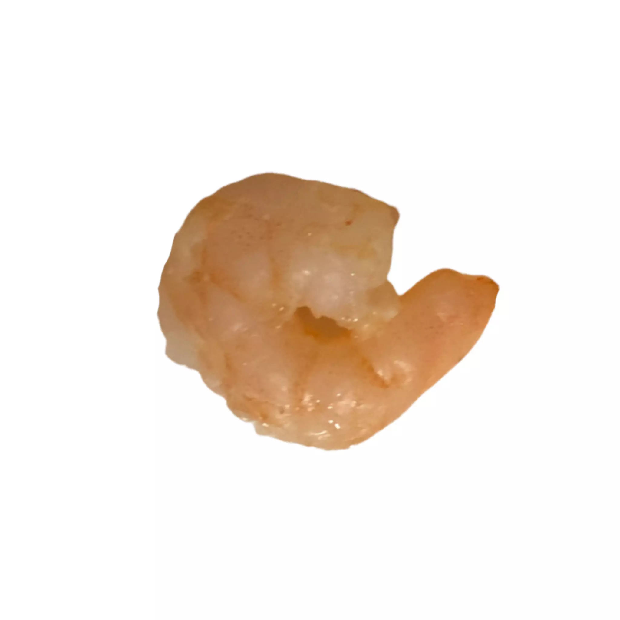 Small Cooked Shrimp  3D print model_0