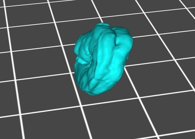 Small Cooked Shrimp  3D print model_4